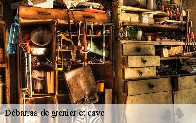 Débarras de grenier et cave  60480