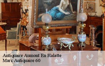 Antiquaire  60300