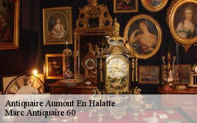 Antiquaire  60300
