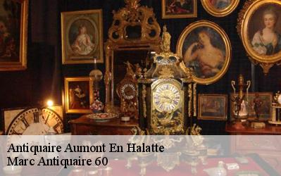 Antiquaire  60300